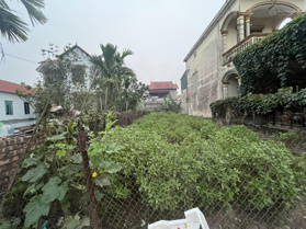 Rẻ khó tin! Bán 300m đất kinh doanh đường Chu Mạnh Trinh chợ Mễ Sở, Văn Giang mả chỉ nhỉnh 30tr.m2