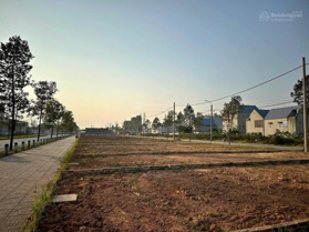 Bán gấp 86m2 đất mặt tiền 6m TT Quất Lâm, Nam Định 3 bước ra bến du thuyền nhỉnh 1 tỷ