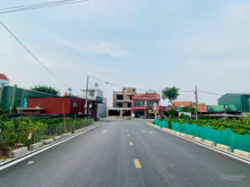 Cực phẩm 236m full thổ chia được 3 lô đẹp tại Liên Nghĩa Văn Giang. Đường ô tô tải thông