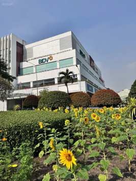 Cho thuê mặt bằng 200-2.000m2 tại KCX Linh Trung 1, P. Linh Trung, Thủ Đức, giá từ 185.000đ/m2