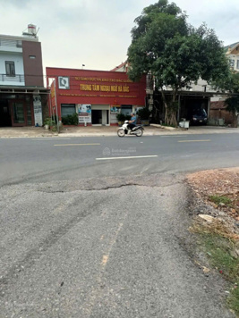 CC bán lô đất mặt tiền 10m hướng Đông Nam Quốc Lộ 31, Lạng Giang, Bắc Giang