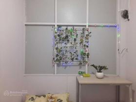 Chủ cho thuê gấp phòng 24m2 ở Hòa Hưng, Q.10 giá chỉ từ 3tr2