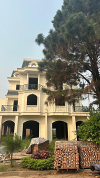 CẦN BÁN TRƯỚC TẾT. Chủ nhà cần bán căn 200m đường lớn, giá 8x tr/m2, hồ sơ nét. The phoenix garden