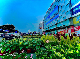 Ở ngay, cấp 4, diện tích khủng 102m, ô tô vào nhà, Tăng Nhơn Phú A, Quận 9, TP Thủ Đức chỉ 7,45 tỷ