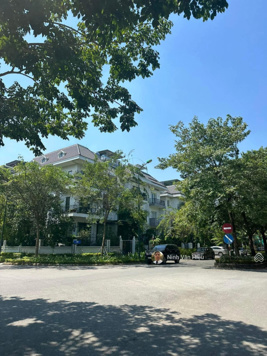 Bán biệt thự khu K Ciputra, quận Tây Hồ 140m2, sổ đỏ chính chủ