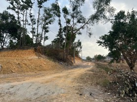 Cấn bán lô đất 750m2 khu vĩnh phú mạo khê-đông triều- quảng ninh