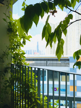 Chính chủ gửi bán căn 2PN view Landmark 81 - Diện tích lớn - nội thất xịn