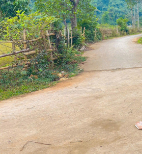 Diện tích 1536m2 đất trồng cây tại Đú Sáng, Kim Bôi, Hòa Bình