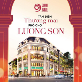 Chính chủ bán lô đất nền có sổ 9Downtown cạnh chợ Lương Sơn - DT 97,5m2 giá 2,4 tỷ có thương lượng