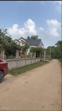 Hoa hậu đầu xuân cho các nhà đầu tư xã Ân Nghĩa, Lạc Sơn, Hòa Bình