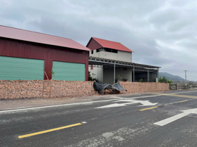 Cho thuê cửa hàng, kiot, nhà xưởng mặt đường ĐT398 gần KCN Yên Lư - Quang Châu - Vân Trung