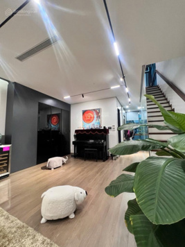 Bán nhà phố Nguyễn Văn Tố, gần Chợ Hàng Da, Hoàn Kiếm DT 50m2, 5 tầng, ở Kinh doanh tốt, sổ đẹp