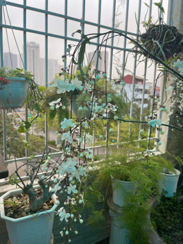 Siêu Phầm Căn Nhà Trung Kính Cầu Giấy  diện tích 54/56T2m2 x 7 tầng mặt tiền 4m giá 24.5 tỷ 