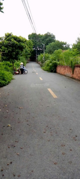 Bán 339m2 thôn 7 Phú Cát, Quốc Oai giá rẻ nhất khu vực