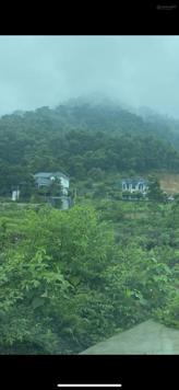 Bán 270m2 trục đường bê tông liên xã Minh Phú, Sóc Sơn kinh doanh rất tốt full TC