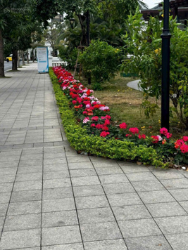 Bán đất mặt đường 40m Lô 28 Lê Hồng Phong, 490m MT 14m, ngay Mediamart,Giá 127tr/m lh: 0976 138 687