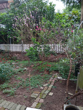 Lô đất Vinhomes Đông hội - Đầu cầu Tứ liên.