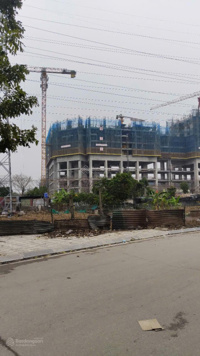 Trung tâm Phú Thượng, Tây Hồ, mảnh đất vàng - 65m2- oto tránh, giá đầu tư Biệt Thự Ciputra