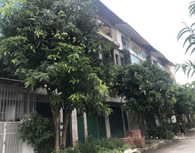 Chính chủ cần bán gấp nhà Quận 8, 242m2, ( thiện chí thương lượng sâu )
