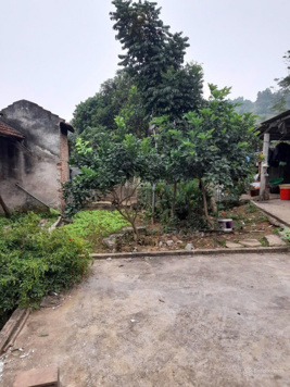 Bán gấp lô đất đã có sẵn nhà tại thôn Cốc Đồng Tâm, Minh Quang, Ba Vì, DT: 768,7m2 có 100m2 đất ở