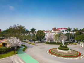 Biệt thự 200m2 khu C Ciputra Tây Hồ, vị trí đẹp, giá tốt không lỗi phong thủy - LH 0986 436 161