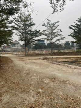 Chính chủ bán đất dân giá rẻ khu CNC Hoà Lạc