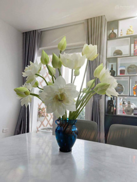 Tôi bán căn hộ chung cư Trung Hòa - Nhân Chính, 119m2, 3 phòng ngủ, full nội thất - Giá 7 tỷ