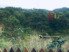 Giá 9tr/m2 chưa fix cho 5013m2 đất có thổ cư tại đường Hoàng Hoa Thám, P10 view thông cực chill
