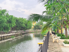 Bán gấp đất biệt thụ 12m x 23m Full thổ cư - đường nhựa 12- View sông - sát QL13, Resort Phương Nam