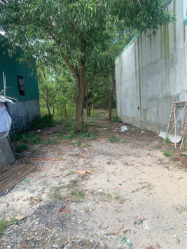 Bán đất ở 100m2 ngay Tân Hiệp 1, gần chợ Tân Hiệp, tiện ích đầy đủ