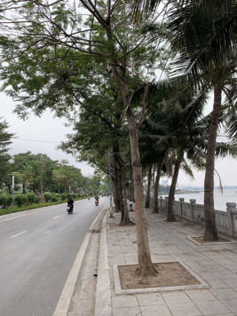 Hiếm! Nhà Lạc Long Quân - Tây Hồ, DT 58m2 ôtô 7 chỗ đỗ cửa, quay đầu, hướng Đông Nam, giá chỉ 12 tỷ