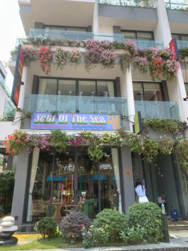 Full giá 8 tỷ vốn ban đầu chỉ hơn 2 tỷ sở hữu ngay biệt thự view núi, cách Hà Nội 40 phút lái xe