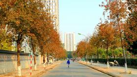 Giá đầu tư. Phân lô Ngoại Giao Đoàn – Xuân La. Oto đỗ cửa, nhà 35m x 6 tầng, giá 9 tỷ