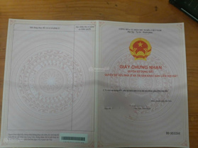 Chính chủ bán lô đất đấu giá, sẵn sổ, vuông đẹp tại Quảng Xương, Thanh Hóa