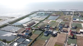 Đất biển Quất Lâm giá rẻ. Giáp quảng trường công viên phố đi bộ, gần khu nghỉ dưỡng Flamingo