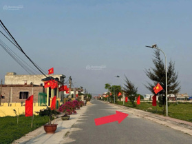 Cần tiền em bán rẻ hơn thị trường 200 triệu, lô đất tại biển quất lâm nam định diện tích 95m