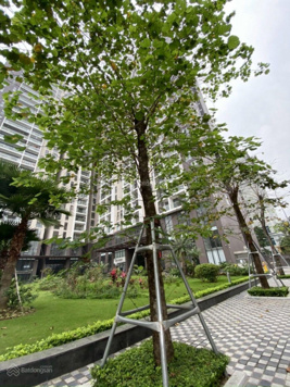 Chính chủ cần bán căn hộ 120m2, 3 ngủ, nội thất đẹp. LH 0978 353 999