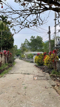 493m/400m Lâm Sơn - Lương Sơn sẵn nhà cấp 4 ở luôn giá chính chủ cần bán