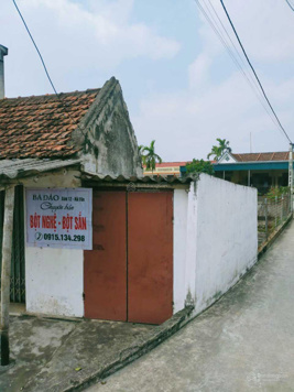 Bán đất tặng nhà Hải Hậu, Nam Định, đất mặt tiền buôn bán tốt diện tích 239m2, giá tốt