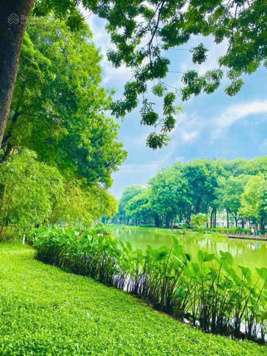 Đại lý TOP 1 dự án Celadon, đã có giỏ hàng chính thức. LH em để có giỏ hàng đẹp, chiết khấu cao