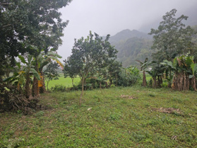 CC gửi bán mảnh đất 373m2, có 100m2 TC tại Liên Sơn Hòa Bình, giá rẻ giật mình