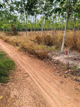 Chủ gửi 1000m2. Có 300m2 thổ cư. Đất làm khu nghỉ dưỡng. Hoặc ở. Đầu tư