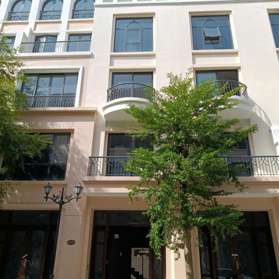 Cập nhật quỹ hàng chuyển nhượng độc quyền ngày 8/4/2025! Liên hệ em An 0908 833 535 để xem nhà