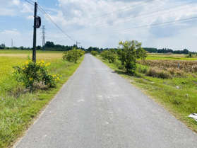 Đất Thanh Phước 200m2 đường nhựa, 5x40m chỉ 400tr sát Thị Trấn Gò Dầu Tây Ninh liên hệ: 0763 914 309