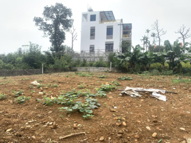 Chính chủ bán 592m2 (có 100m ont)tại Đồng Tranh Nhuận Trạch Lương Sơn HB giáp KCN Nhuận Trạch 213ha