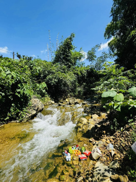 3000m2 Bám suối đẹp giá rẻ đối diện homestay đẹp như tranh vẽ