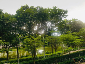 Bán nhanh căn hộ 2PN 71m2 Emerald giá 4 tỷ 250 bao hết