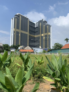 CC bán 1064m2 đất khoáng nóng Full thổ cư, SĐCC, view Sông Đà và tòa 35 tầng Wyndham Thanh Thủy