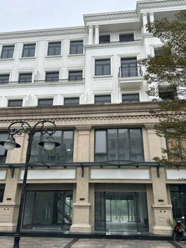 Cho thuê văn phòng, mặt bằng kinh doanh 250m2 tại Vinhomes Oceanpark Gia Lâm