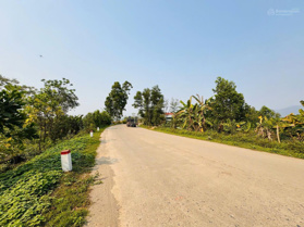 Bán đất view Sông Đà, Thanh Thủy, Phú Thọ, 2,5 tỷ, 200m2, Diện tích thực tế 700m2, Tay Chạm Nước